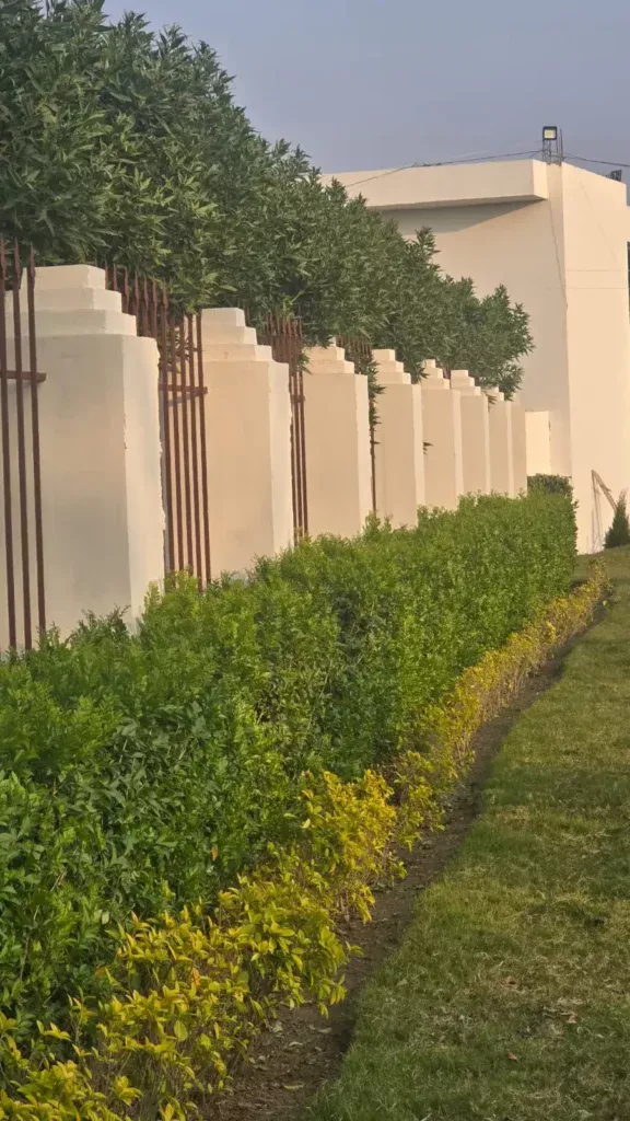 Serene Green Walkways at Vaidik Greens
