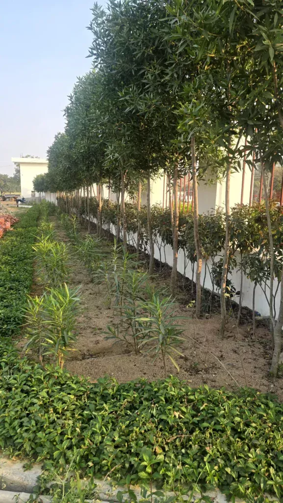 Discover the Essence of Luxury and Leisure